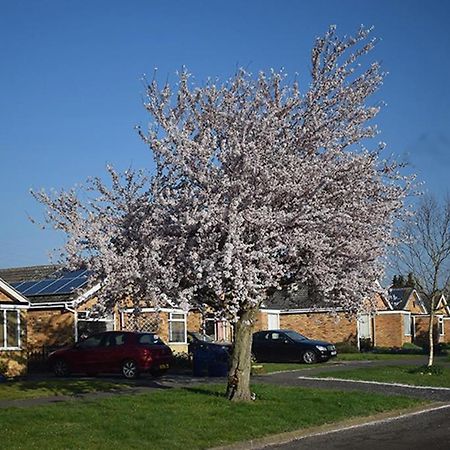 Bed and Breakfast Wings Oakham Esterno foto